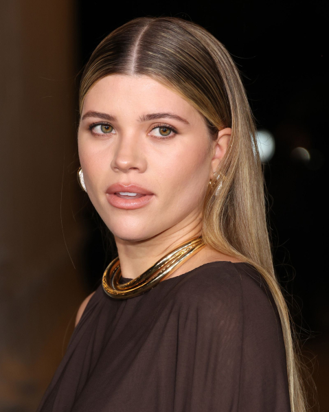 Sofia Richie posing in a brown top and gold necklaces